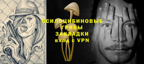 гашик Верея