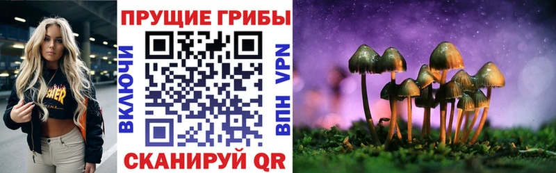 Псилоцибиновые грибы мухоморы Гаврилов-Ям